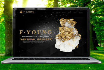 ����̩�������ﱦʯ